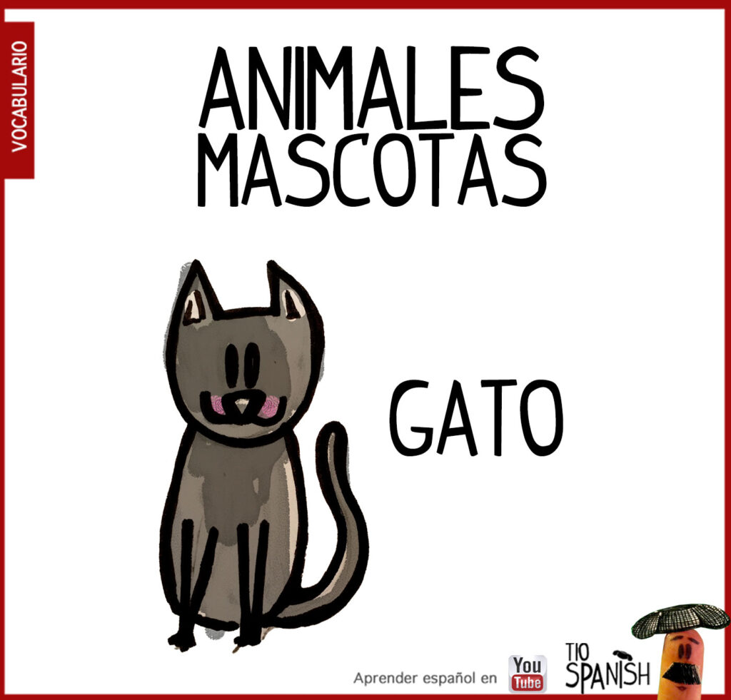 El gato, vocabulario animales en español, mascotas