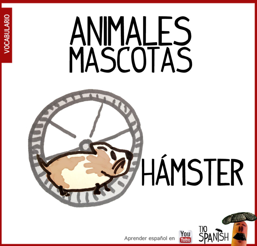 El hamster, vocabulario animales en español, mascotas