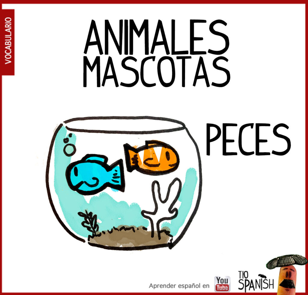 Los peces, vocabulario animales en español, mascotas