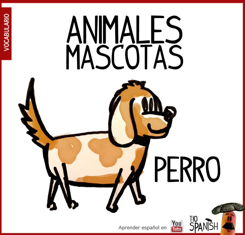 El perro, vocabulario animales en español