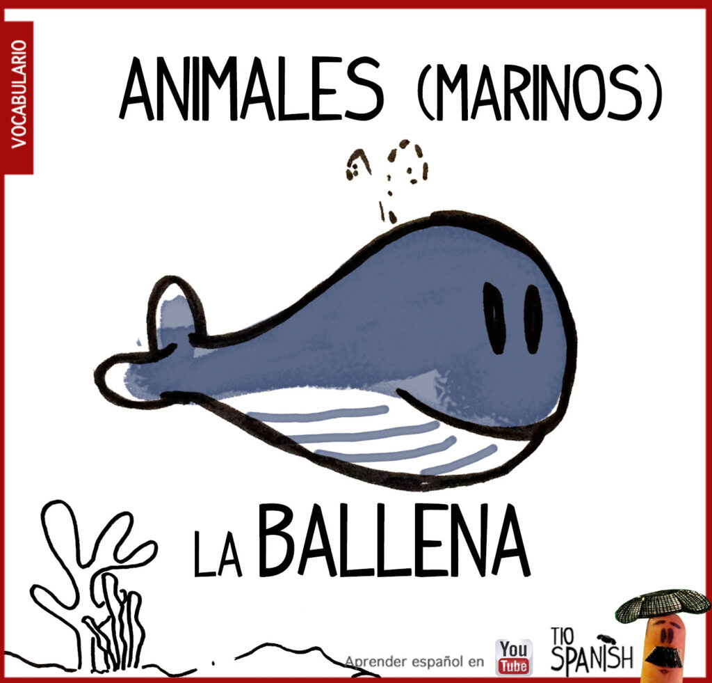 ballena, los animales en español vocabulario