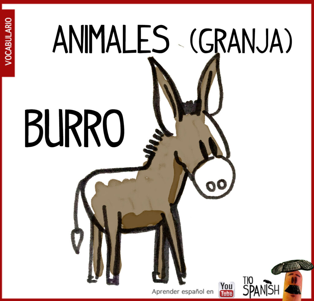 El burro, vocabulario de los animales de la granja en español