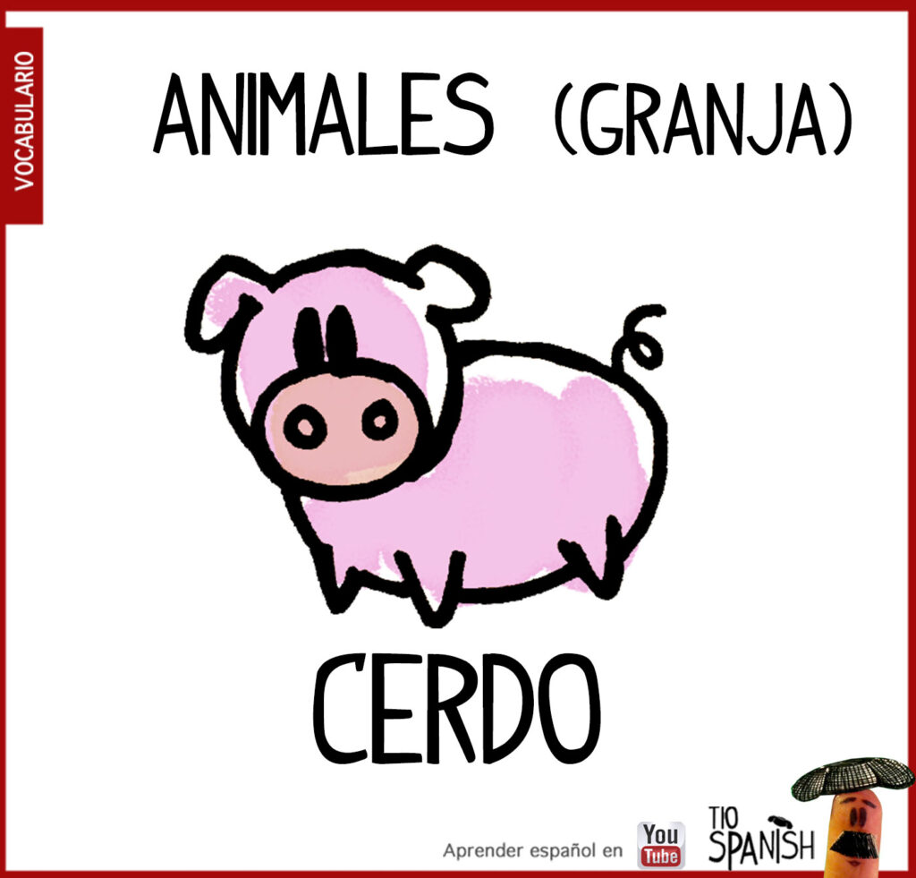 El cerdo , vocabulario de los animales de la granja en español
