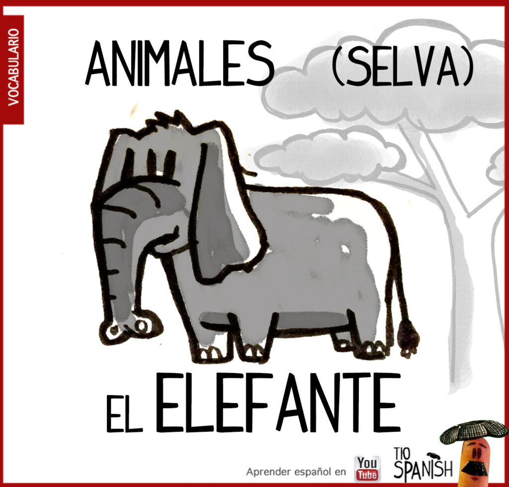 Vocabulario animales en español, el elefante