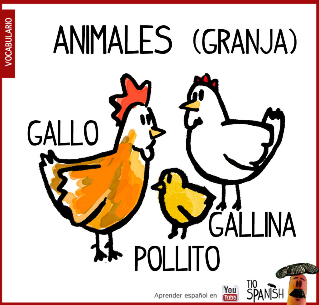 El cerdo , vocabulario de los animales de la granja en español