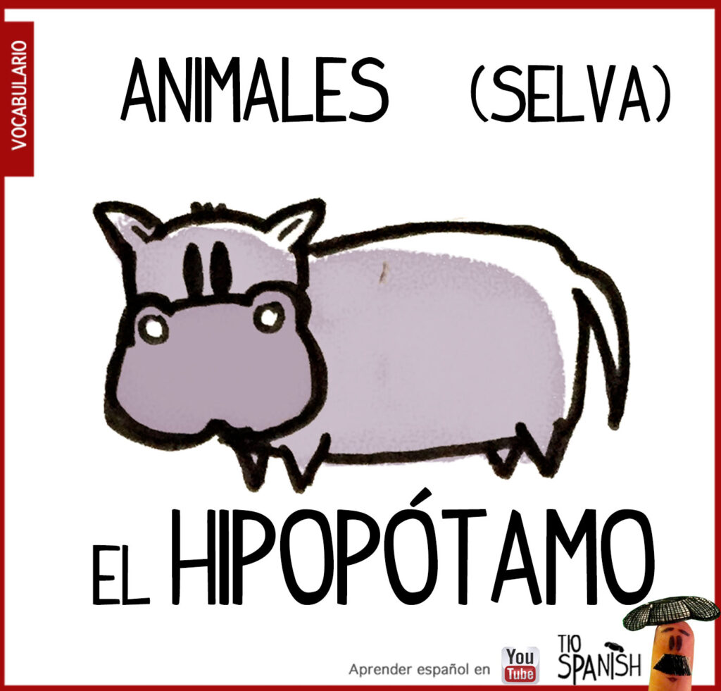 Vocabulario animales en español, el hipopótamo