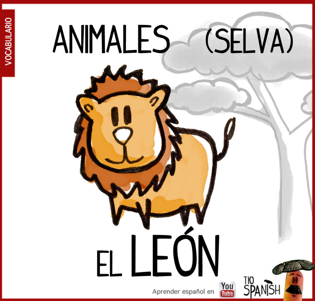Vocabulario animales en español, el león