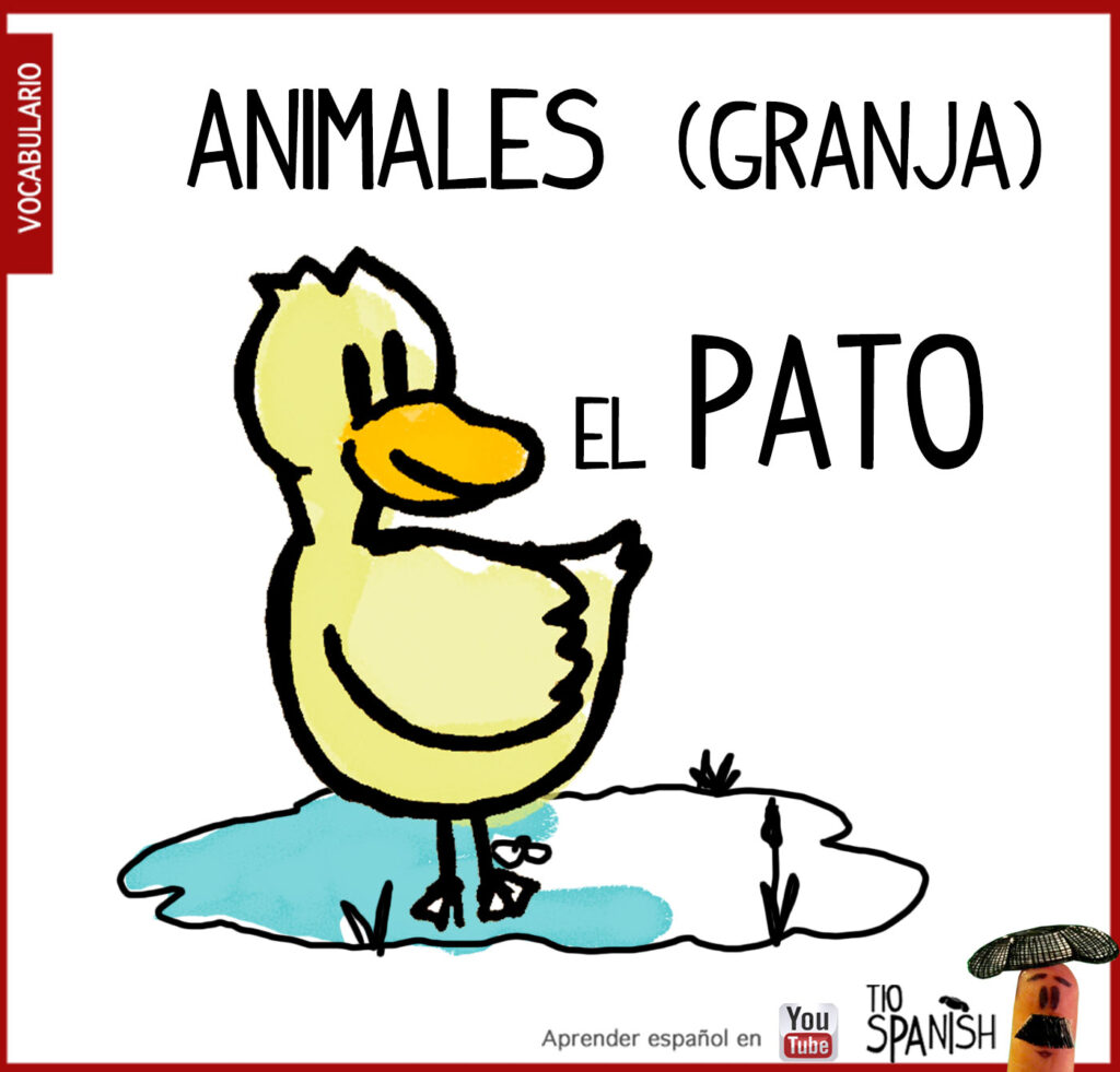 el pato, vocabulario de los animales de la granja en español