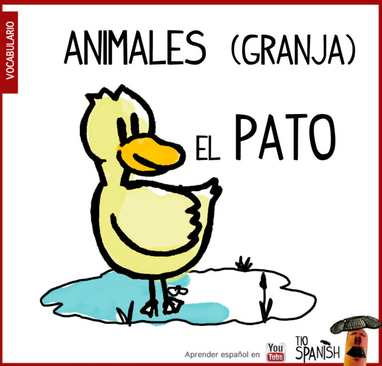 Vocabulario animales en español - Tio Spanish
