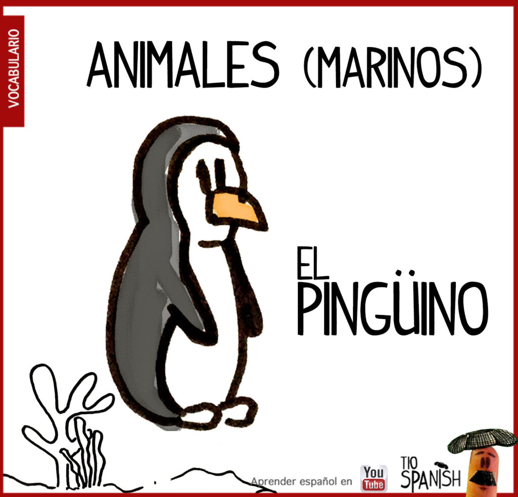 pinguino, los animales en español vocabulario