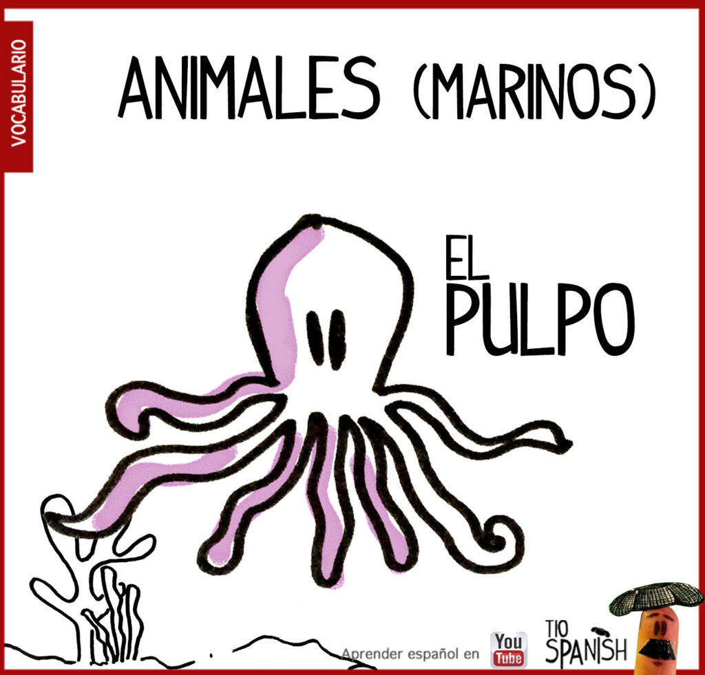 pulpo, los animales en español vocabulario