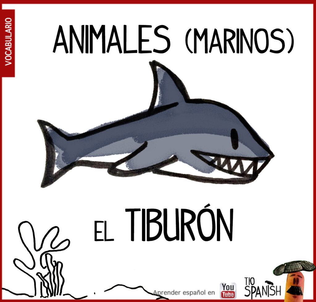 tiburon, los animales en español vocabulario