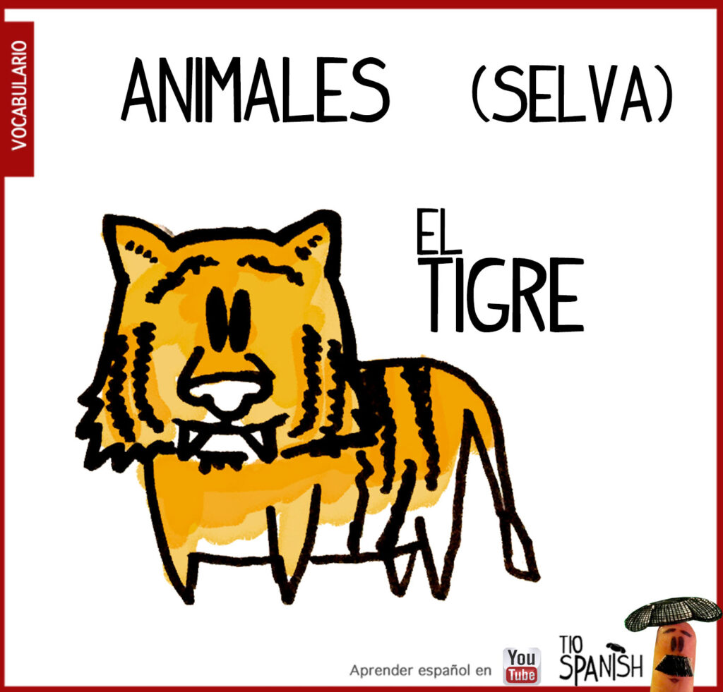 Vocabulario animales en español, el tigre