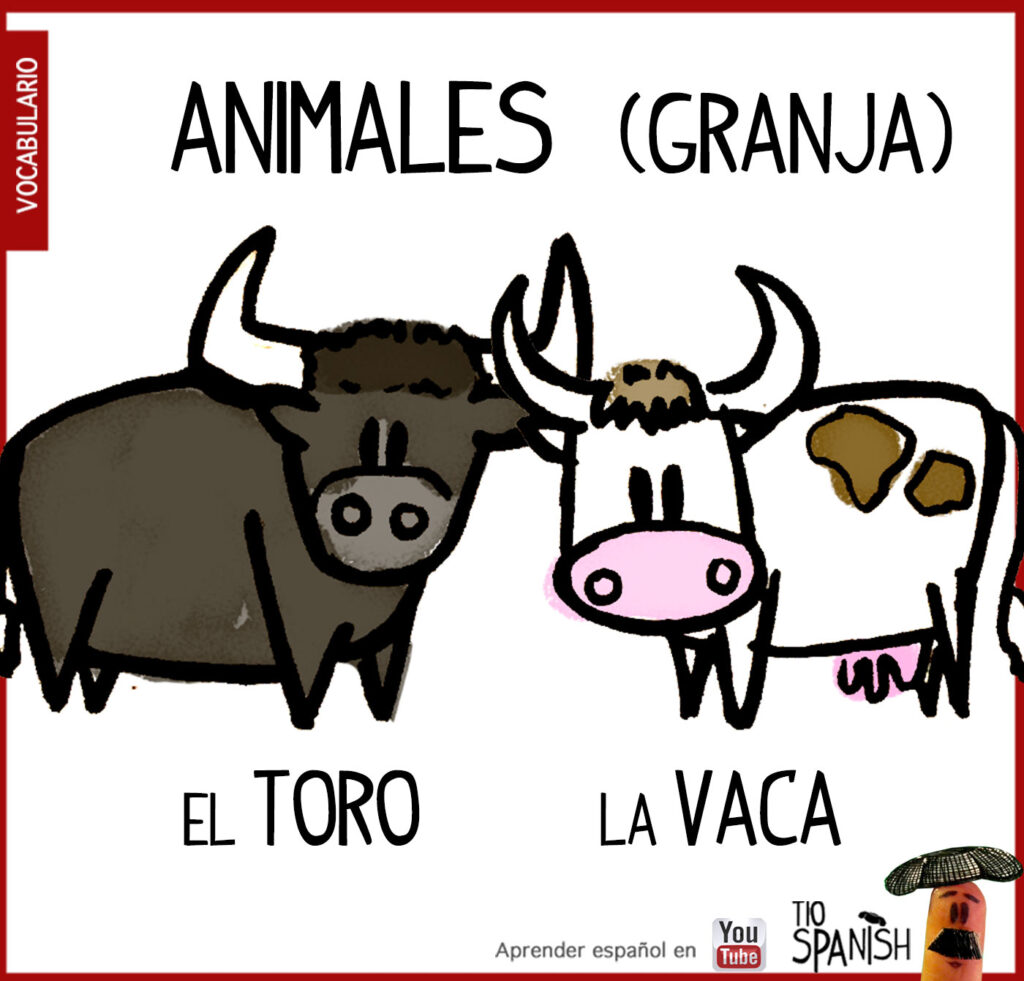 el toro, la vaca, vocabulario de los animales de la granja en español